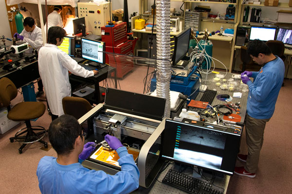 Students working in MABE lab